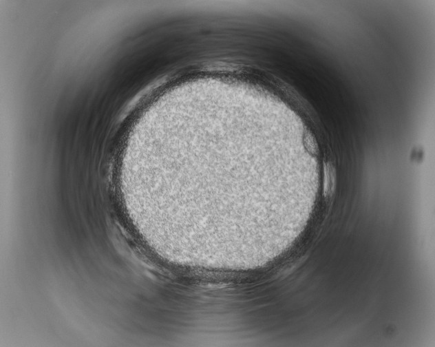 X0000114210723200911201022