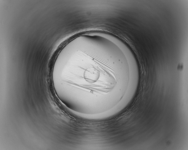 X0000114210724200911201022