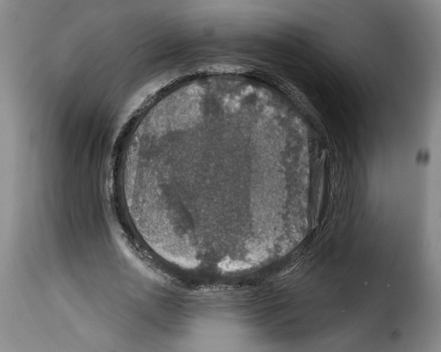 X0000114210726200911201022