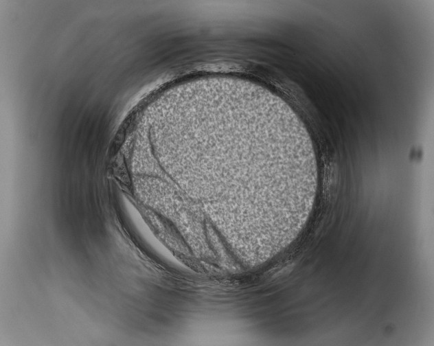 X0000114210727200911201022