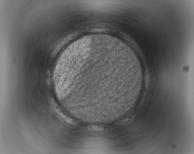 X0000114210729200911201022