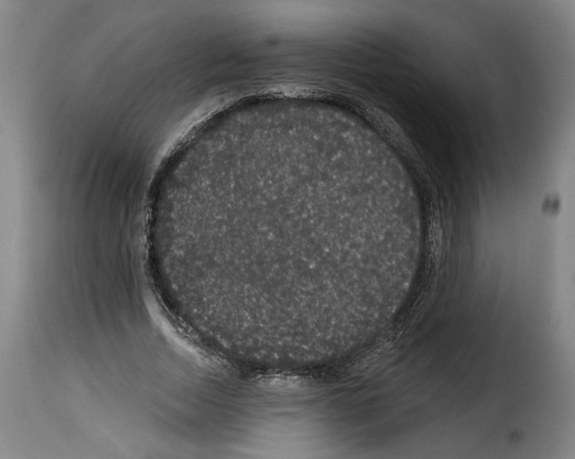 X0000114210730200911201022