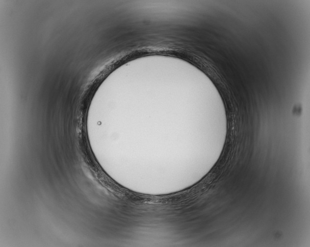 X0000114210732200911201022