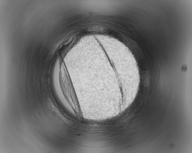 X0000114210735200911201022