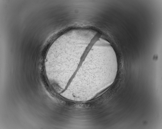 X0000114210736200911201022