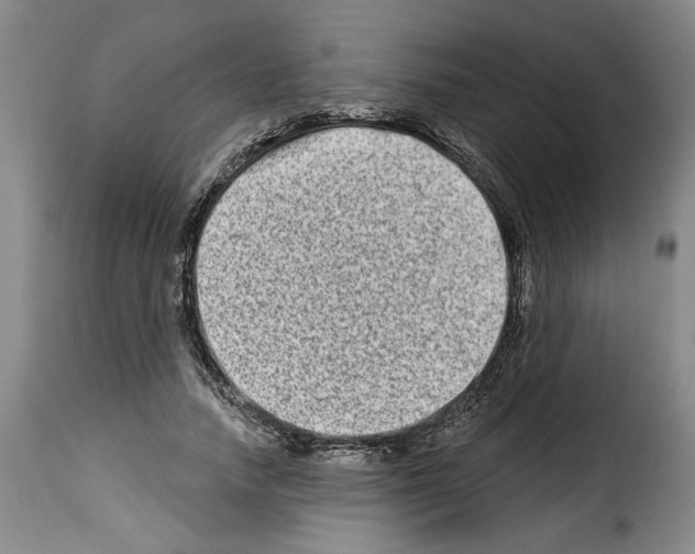 X0000114210738200911201022