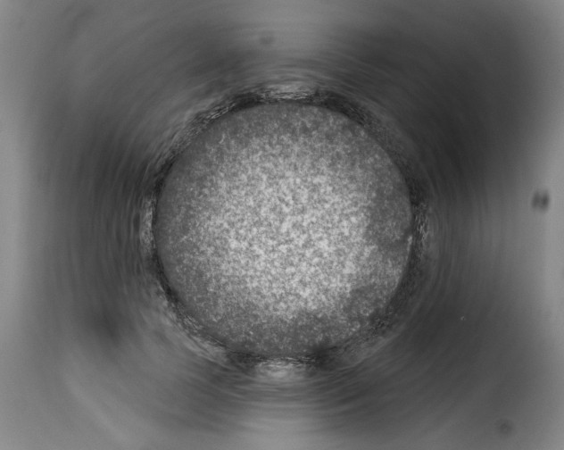 X0000114210745200911201022