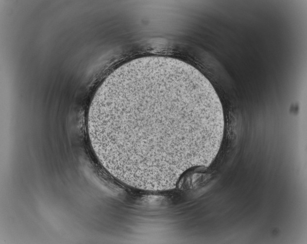 X0000114210748200911201022