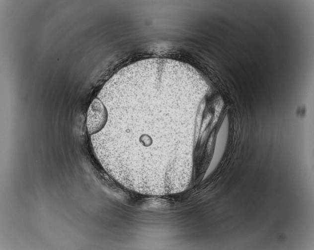 X0000114210750200911201022