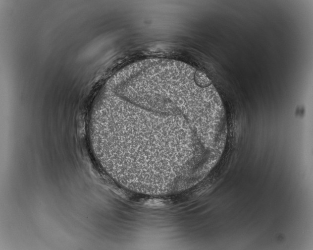 X0000114210751200911201022