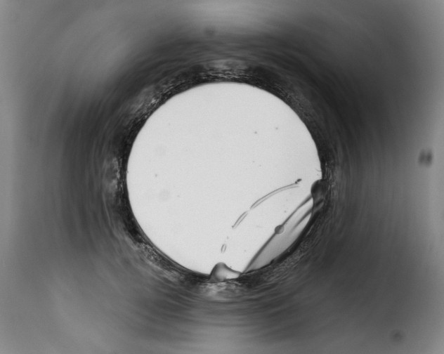 X0000114210752200911201022