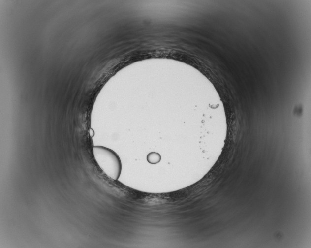 X0000114210756200911201022