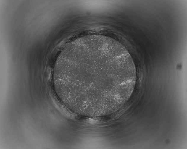 X0000114210758200911201022