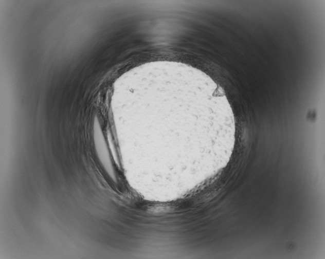 X0000114210759200911201022