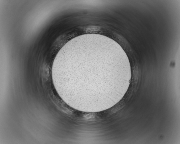 X0000114210761200911201022