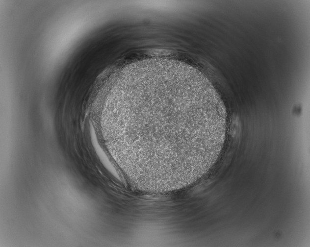 X0000114210763200911201022
