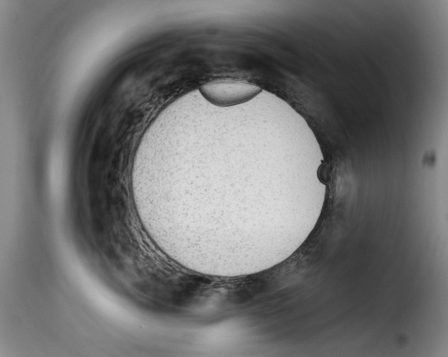 X0000114210764200911201022