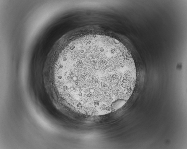 X0000114210765200911201022