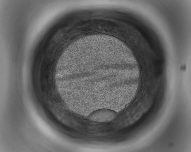 X0000114210766200911201022