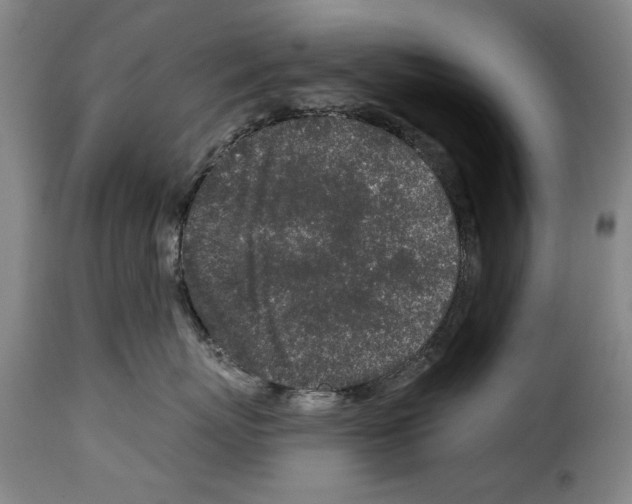 X0000114210767200911201022