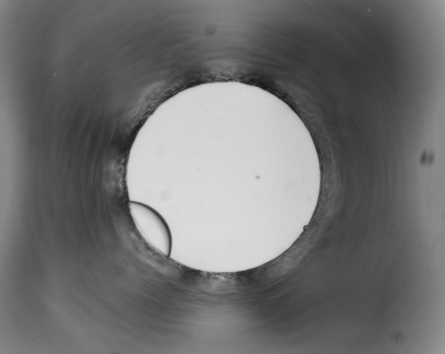 X0000114210768200911201022