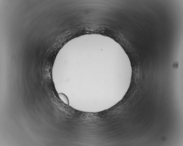 X0000114210770200911201022