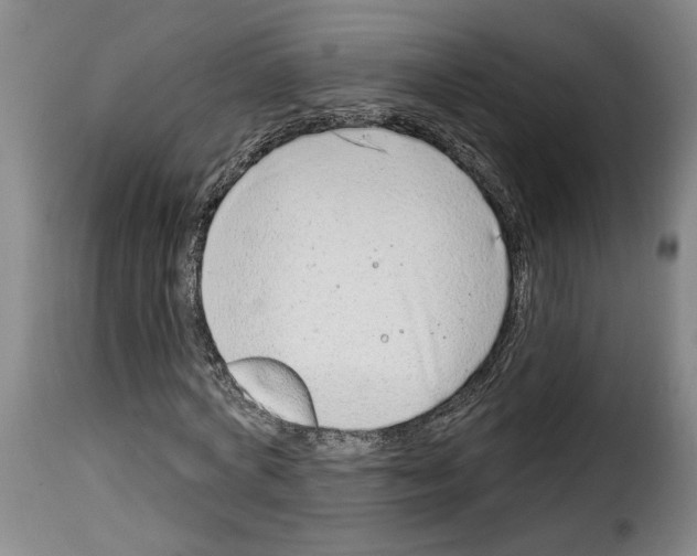 X0000114210772200911201022
