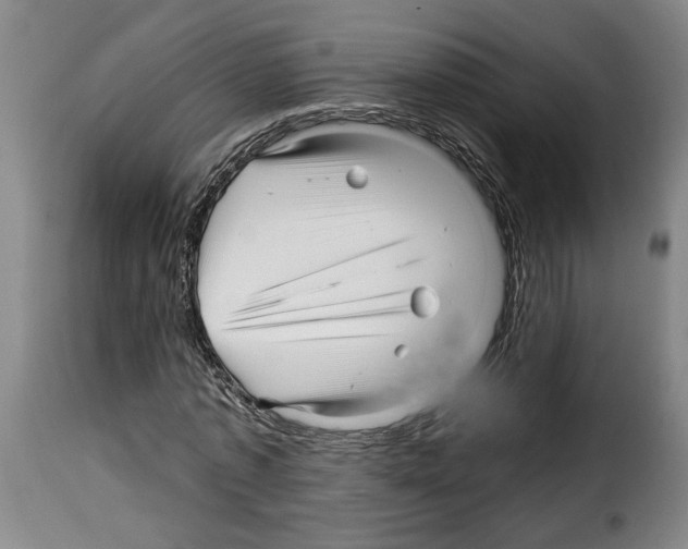 X0000114210773200911201022