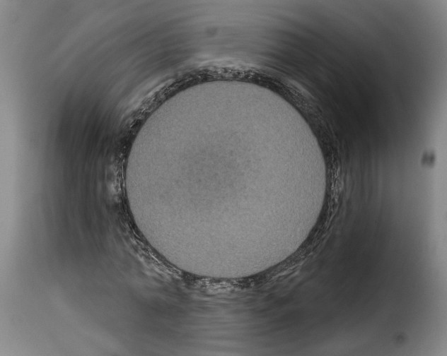 X0000114210774200911201022