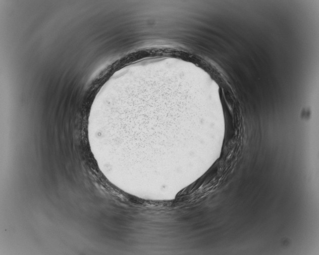 X0000114210775200911201022