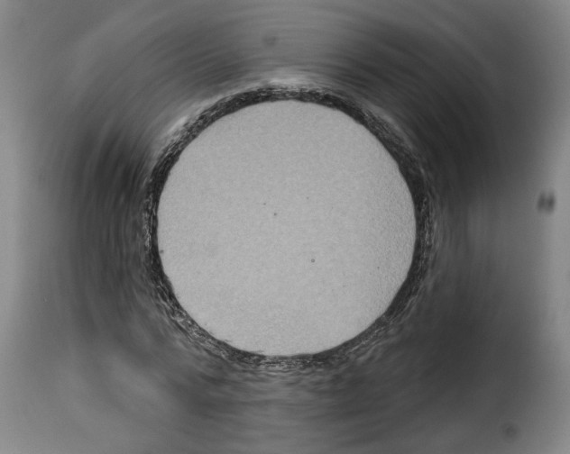 X0000114210776200911201022