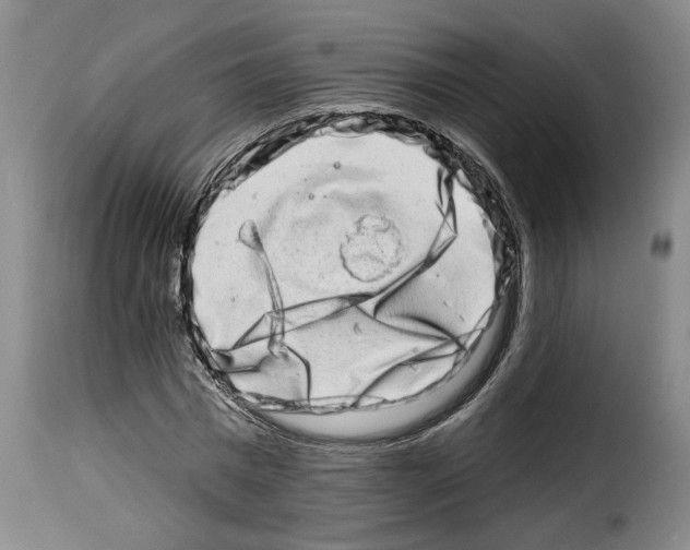 X0000114210777200911201022