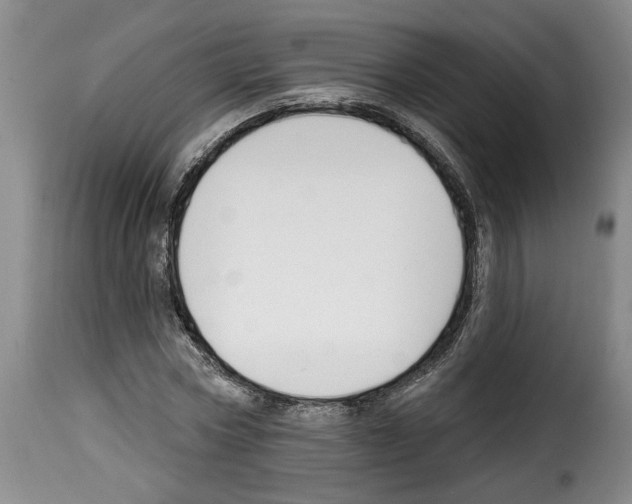 X0000114210778200911201022