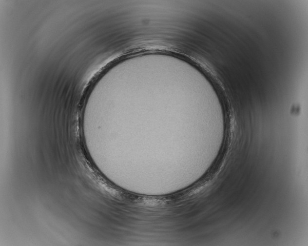 X0000114210782200911201021