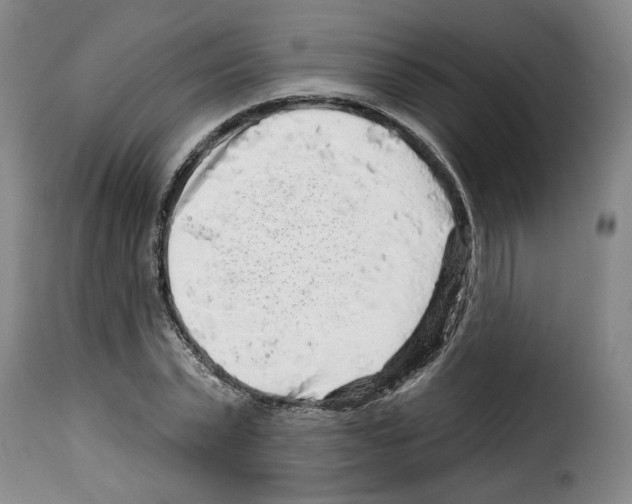 X0000114210783200911201021