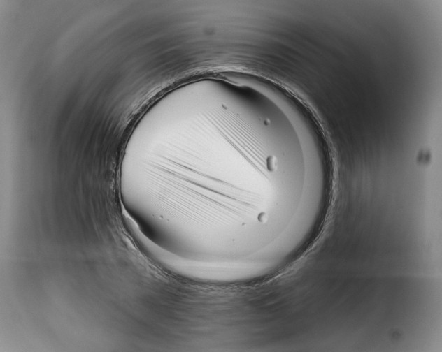 X0000114210785200911201021