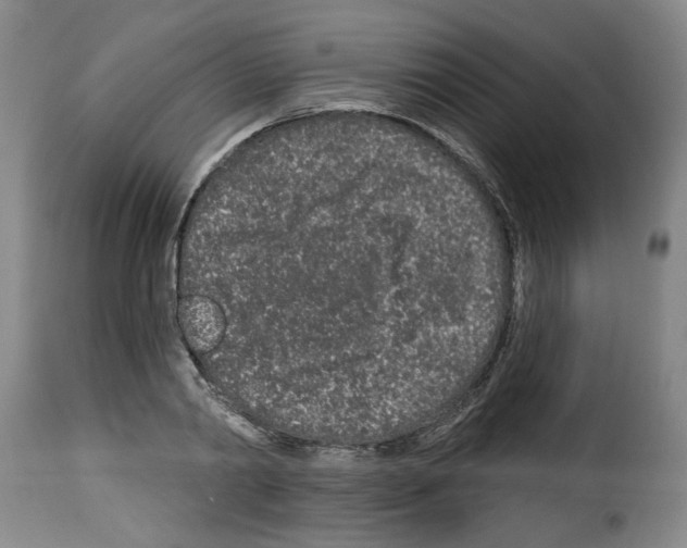 X0000114210790200911201021