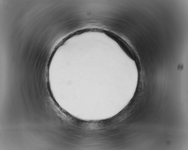 X0000114210791200911201021