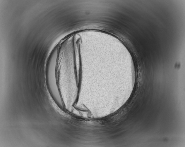 X0000114210792200911201021