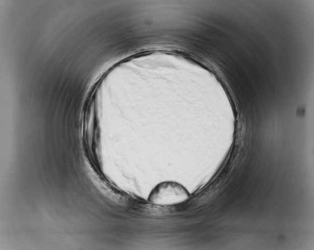 X0000114210795200911201021