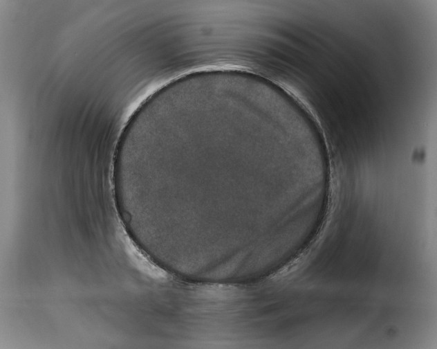 X0000114210797200911201021