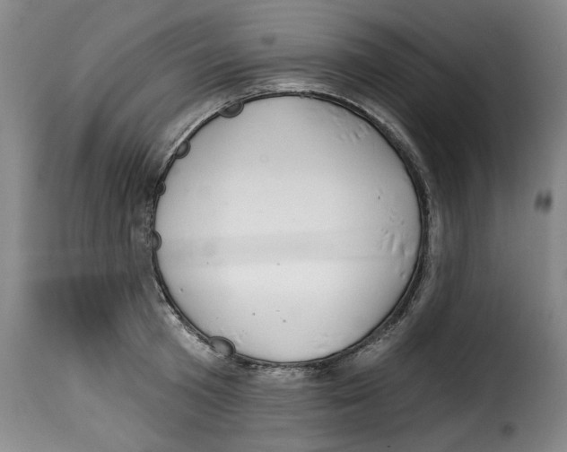 X0000114210801200911201021