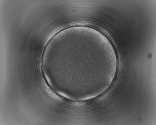 X0000114210802200911201021