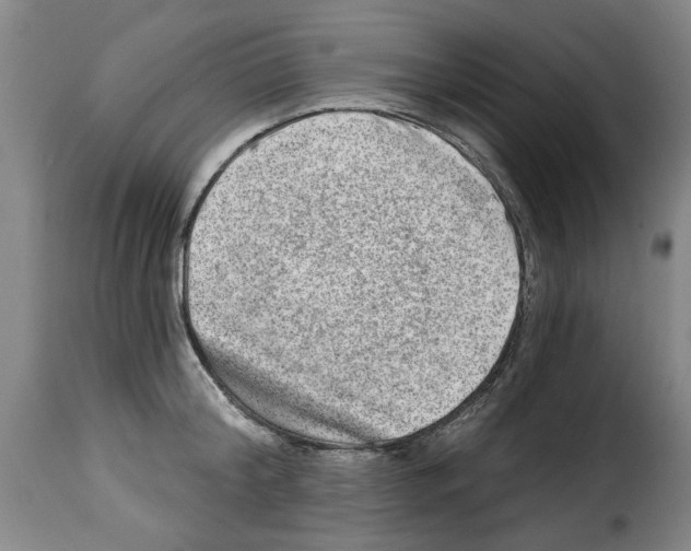 X0000114210804200911201021
