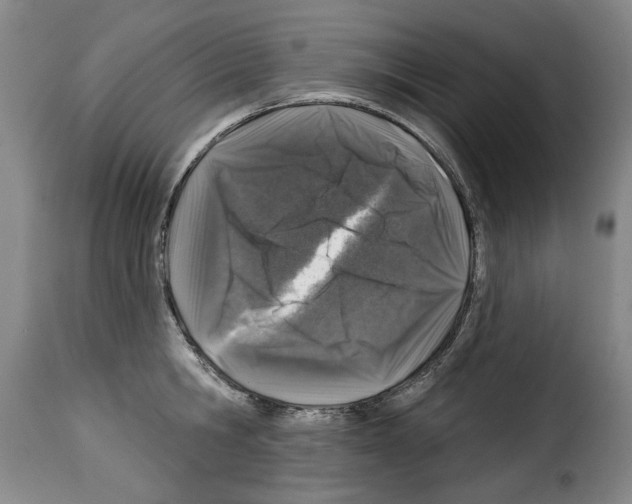 X0000114210806200911201021