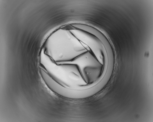 X0000114210807200911201021