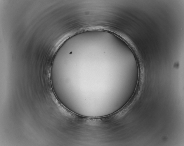 X0000114210809200911201021