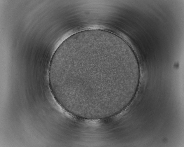 X0000114210810200911201021