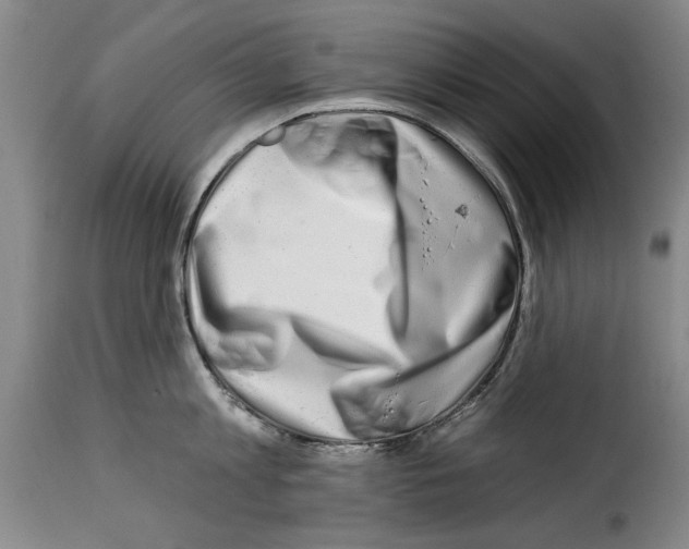 X0000114210813200911201021