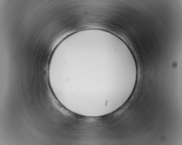 X0000114210814200911201021